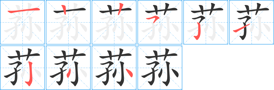 荪字笔画写法