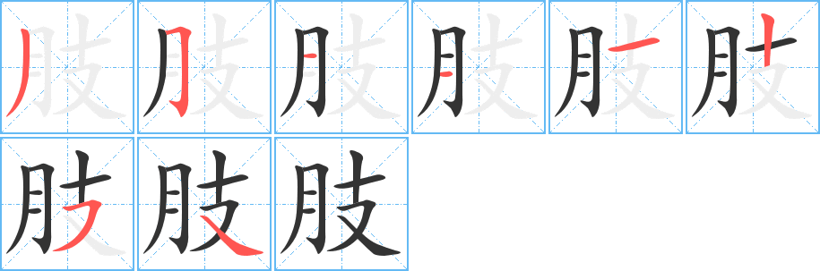 肢字笔画写法