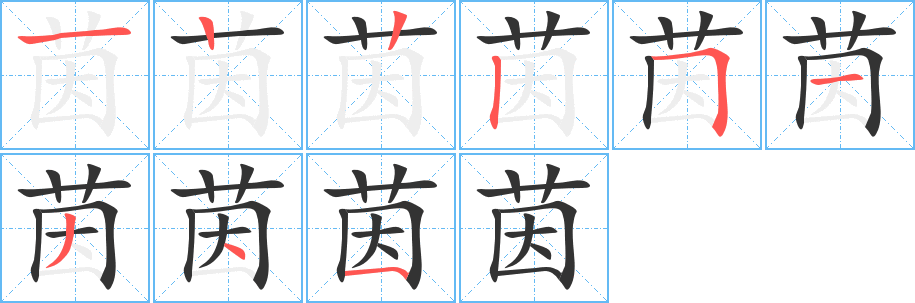 茵字笔画写法