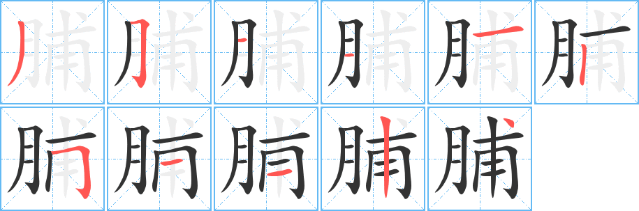 脯字笔画写法