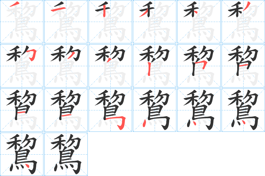 鵹字笔画写法