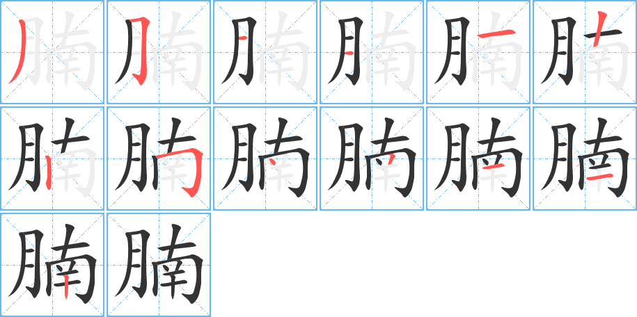 腩字笔画写法