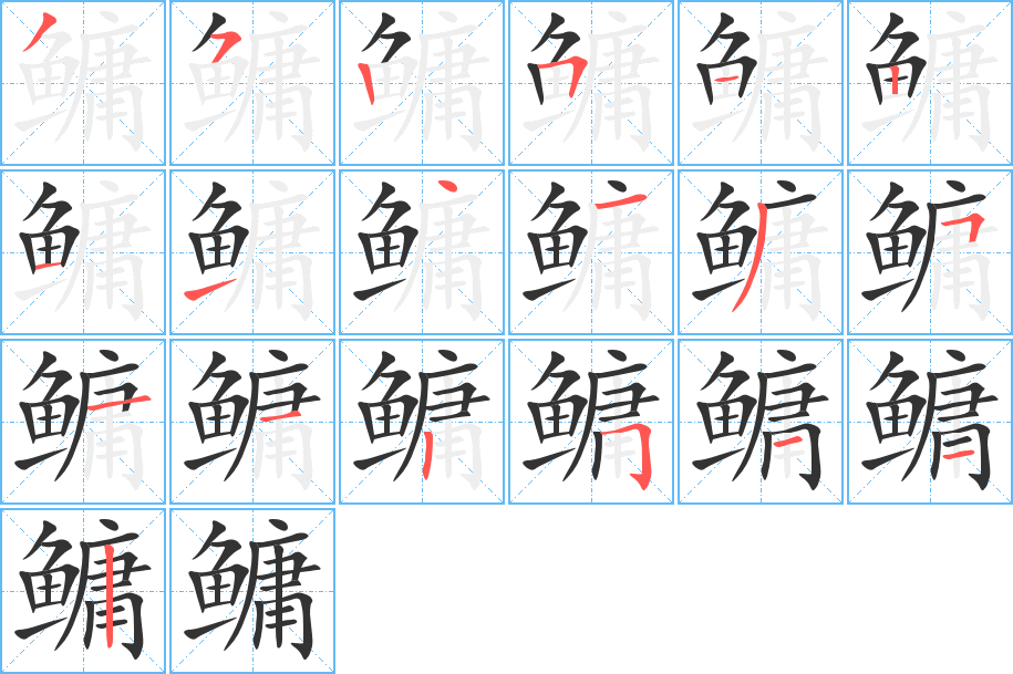 鳙字笔画写法