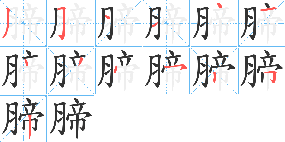 腣字笔画写法