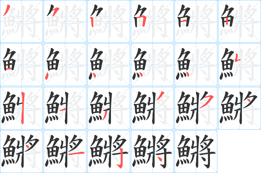 鱂字笔画写法